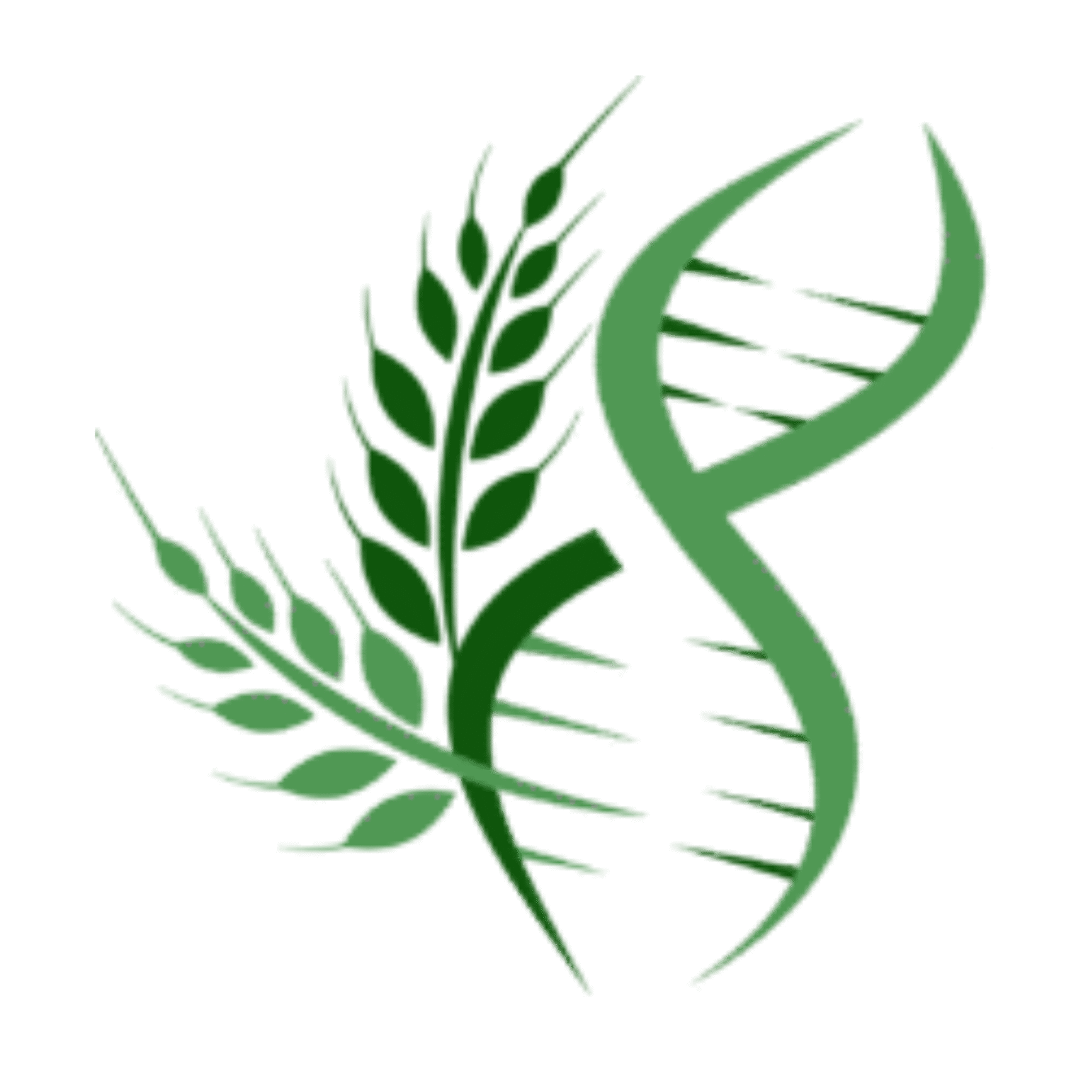 Carbon Accounting in Agricultural Supply Chains Summit 2026