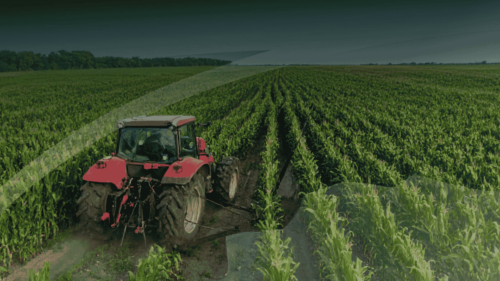 3rd Carbon Accounting in Agricultural Supply Chains Summit Background Image