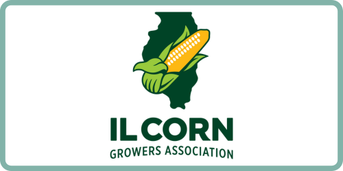 IlCorn Box