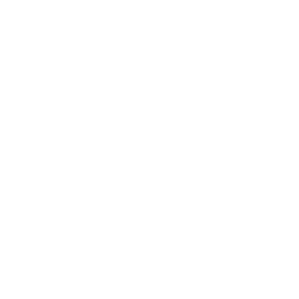 Partnerships Icon